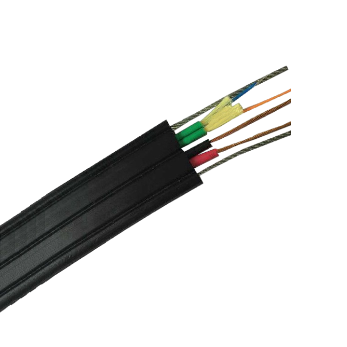 TYVBG�͵������й���ۺ���